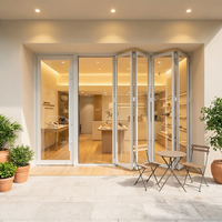 Ventanas Modernas Plegables de Aluminio y Vidrio Templado Doble, Diseño Minimalista, Resistentes al Viento y al Calor, para Hospitales y Patios