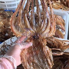 Worldly Buy Fish Catfish Crevettes Calmar Huîtres Four de séchage à sec Machine de séchage de poisson - Product Image 6