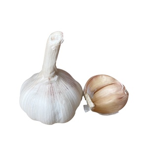 来自中国的白蒜200g/250g/500g零售，价格最优惠 - Product Image 2