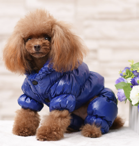 सर्दियों में गर्म और विंडप्रूफ पालतू जैकेट वाटरप्रूफ ऊन के साथ चमकदार फिनिश, क्लासिक ठोस रंग - Product Image 2