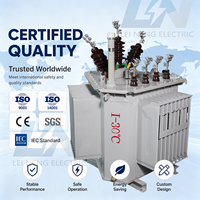 Transformateur de surtension triphasé immergé dans l'huile Leineng 11 kV 300 kVA à bobine en cuivre 50 Hz, avec pièces de rechange complètes pour petite salle électrique d'usine