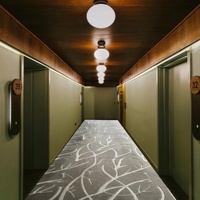 Tapis de sol mur-à-mur de haute qualité tapis Raschel en relief vison tapis tapis de sol grands tapis pour salon hôtel