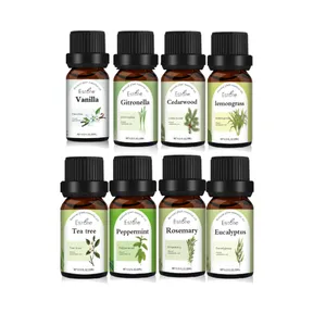 Venta caliente productos de belleza perfumes originales conjunto aroma fragancia aceite aromaterapia aceite esencial puro