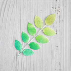 Großhandel Metall blätter Kohlenstoffs tahl Handwerk Schneidwerk zeuge für Scrap booking Paper Craft - Product Image 3