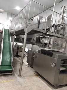 خبير منحدر مخصص-ناقلات منحدر احترافية ، وأنظمة ناقل ومعدات آلية - Product Image 6