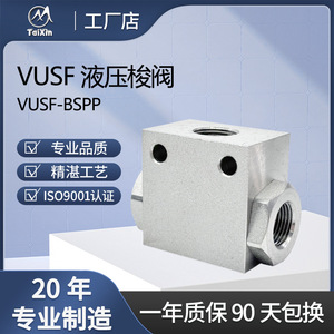 Válvula hidráulica de travesía TaiXin Vusf de 1/2 pulgada BSP, válvula de control direccional de dos vías para tubería de acero al carbono - Product Image 3