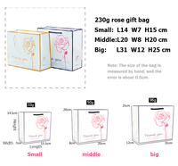 Sacs cadeaux en papier biodégradable écologiques avec impression offset pour l'emballage d'artisanat et de bougies
