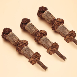 <span class=keywords><strong>Pinchos</strong></span> de carne de Silvervine ecológicos <span class=keywords><strong>para</strong></span> <span class=keywords><strong>gatos</strong></span>, juguetes <span class=keywords><strong>para</strong></span> limpiar los dientes - Product Image 2