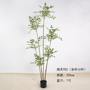 Chất Lượng Cao Nhân Tạo Cây Tre <span class=keywords><strong>180Cm</strong></span> Nhựa PE Chất Liệu Ngoài Trời Cảnh Quan Phục Sinh Bền Mini Nhân Tạo Thực Vật - Product Image 6