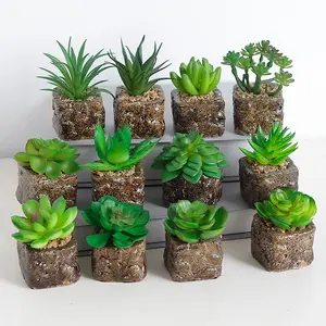 Mini stile creativo di nozze a casa decorazione della casa piante artificiali piante grasse in vaso pianta artificiale
