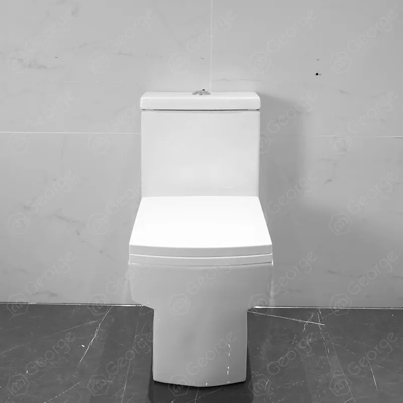 Salle de bain d'hôtel Toilette en céramique Articles sanitaires Toilette WC monobloc debout au sol blanc