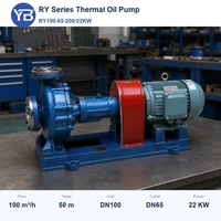Pompa Sentrifugal Suhu Tinggi RY100 65 200 100 M3H 50 M Pompa Oli Transfer Panas 2900 Rpm Dengan Motor Penggerak AC