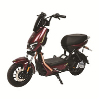 Vélo à assistance électrique, scooter électrique à deux roues pour adultes, léger, en acier à haute teneur en carbone, autonomie de 15 à 25 km, batterie au plomb-acide, 20 km/h