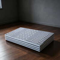 Matelas de massage ergonomique en éponge, coussin multi-motifs en mousse élastique, confortable pour lit et canapé, fourni par l'usine