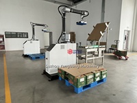Système de palettisation robotisé entièrement automatique à 6 axes Chargement et déchargement Machine de palettisation robotisée pour ligne d'emballage de conteneurs