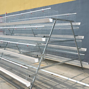 Nieuwe A-Type Automatische Kooi Voor Kippenhok Voor De Productie Van Eieren In De Pluimveehouderij Slachtkuikens Verkoop-Kippenhok Eierhuis - Product Image 4