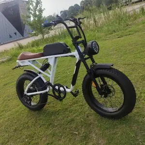 畅销Mxus Ebike电机Akku 24V