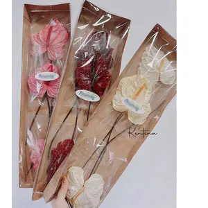 Doğal çiçek anthurium fleurs anthupreserved korunmuş çiçek anthuflower