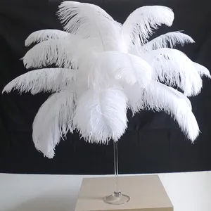 50-55 Cm Bleach White Ostrich Plumes Wholesale Ostrich Wing Feathers Bulk For Centerpiece/Lamps