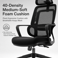 Chaise de bureau ergonomique à dossier haut en maille, avec appui-tête 2D, accoudoirs à boucle, double soutien lombaire, chaise de travail pivotante