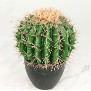 Flores Artificiales de Alta Calidad para Decoración del Hogar, Planta Artificial de Cactus, Venta al por Mayor de Fábrica - Product Image 5