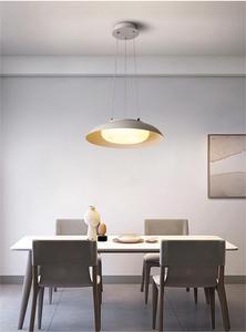 悬挂室内装饰金属吊灯 - Product Image 4