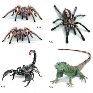 สติกเกอร์ติดรถ3D Spider Lizard Scorpion,สติกเกอร์ PVC ตกแต่งรถสติกเกอร์สัตว์ฝากระโปรงรถ