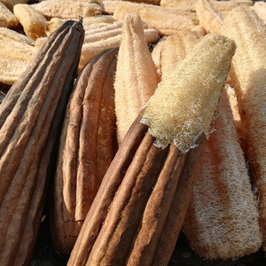 Éponge à vaisselle en loofah 100% naturelle et biologique, de haute qualité, à mailles souples, lavable au lave-vaisselle, vente en gros - Product Image 6