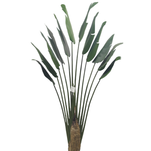 CHUANGFA 2.25M <span class=keywords><strong>Palmier</strong></span> Artificiel du Voyageur Bonsaï Arbre <span class=keywords><strong>en</strong></span> Plastique <span class=keywords><strong>en</strong></span> <span class=keywords><strong>Forme</strong></span> <span class=keywords><strong>d</strong></span>'<span class=keywords><strong>Éventail</strong></span> pour Bureau et Paysage <span class=keywords><strong>D</strong></span>écoration pour Anniversaire Pâques - Product Image 5