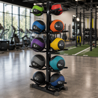 Support mural pour balles de fitness, simple poteau, 4 niveaux, double bras, fixation par boulons, installation facile, idéal pour la salle de sport et la maison