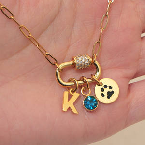 Collana a catena con graffetta di moda con lettera di personalità per animali domestici ciondolo femminile in acciaio inossidabile collana gioielli regalo personalizzato - Product Image 3
