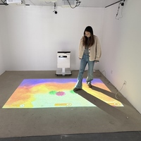 Système de projection interactive 3D DefiLabs, projecteur de sol mobile tout-en-un, résolution 1280x800, connectivité USB, 150 effets de jeu