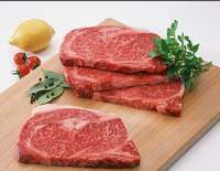 Penyuntik Air Asin/Ayam/Sapi/Babi/Daging Otomatis/Mesin Injeksi