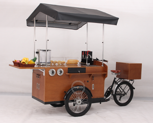 Tricycle de cargaison électrique OEM pour adultes vélo cargo personnalisé avec panier et 3 roues vélo café ouvert - Product Image 2