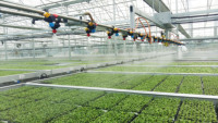 Système d'irrigation automatique mobile à flèche d'arrosage de haute qualité pour serre agricole Jiapei