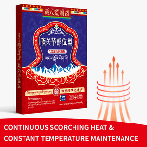 Meilleur OEM/ODM marque privée poignet à base de plantes naturelles traditionnelles respirantes soulagement de la douleur patch médical pour douleurs musculaires et articulaires - Product Image 3