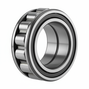 IKO Rodamientos de rodillos cilíndricos NAS Producto de alta calidad - Product Image 1