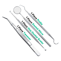 Outils dentaires Outils professionnels de nettoyage des dents Kit de soins bucco-dentaires Ensemble de kit d'hygiène dentaire en acier inoxydable
