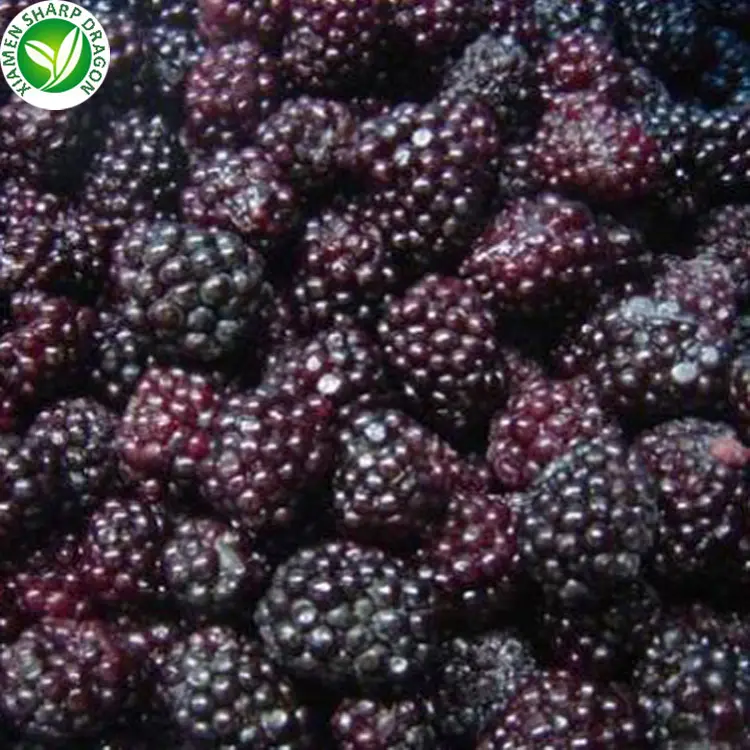 IQF Freeze Organic frozen Fresh Blackberry Wild Healthy unsweetened Black Raspberries Fruit Seedless Great Value Wholesale price