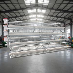 Jaulas de batería para gallinas ponedoras, equipos para granjas avícolas y cría de <span class=keywords><strong>huevos</strong></span> - Product Image 6