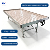 Table de culture hydroponique ChenChao avec cadre robuste et système d'irrigation par flux et reflux pour l'agriculture en serre à grande échelle