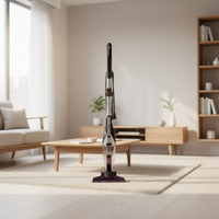 Aspirateur vertical portatif puissant électrique 600W d'usine, aspirateur à main filaire
