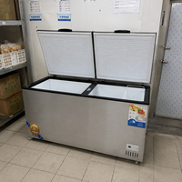 Réfrigérateur horizontal commercial, congélateur coffre, refroidissement direct, affichage numérique LED, étagères réglables, modèle 220V-240V