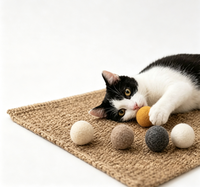 Ensemble de balles pour chat en feutre de laine de Nouvelle-Zélande 100% naturelle, colorées, faites à la main, boîte cadeau, jouets interactifs pour chatons