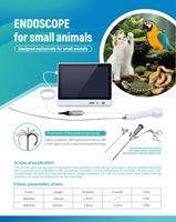 Endoscope vétérinaire portable pour laryngoscope de bronchoscopie de la vessie de l'urètre pour la coloscopie ORL-outil de diagnostic à prix d'usine
