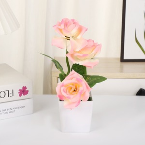 Bán buôn <span class=keywords><strong>3</strong></span> chậu vuông cây hoa hồng với các cạnh uốn thực tế và thân thiện với môi trường để trang trí nhà và nhiếp ảnh - Product Image 6