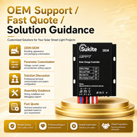 Contrôleur solaire MPPT 3262 3.2V 64W 30A Sukite robuste avec capteur de lumière intégré pour projet d'éclairage public extérieur