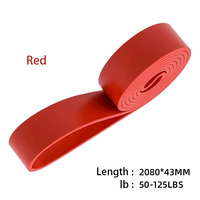 Banda de Resistencia SUCTA TPE de Alta Resistencia para Yoga, Ejercicios de Pecho y Flexiones, para Hombres y Mujeres, con Logotipo Personalizado OEM ODM
