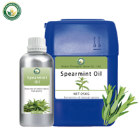 Huile Essentielle de Menthe Verte Bio 100% Pure Extrait Naturel de Plante pour Diffuseur d'Arômes Aromathérapie Relaxation Vente en Gros