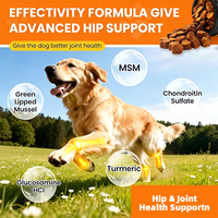 Glucosamine HCl MSM Chondroïtine Probiotique pour Chiens : Soulagement Intestinal et Articulaire, Complément pour la Santé de la Microflore Intestinale